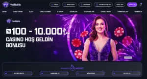 https://www.yedibahis282.com/