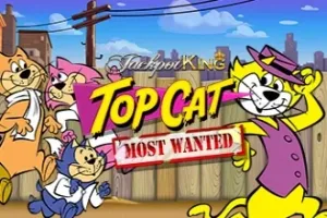 Top Cat Most Wanted Jackpot King Slot Oyunları Görseli