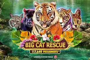 Big Cat Rescue Megaways Slot Oyunları Görseli
