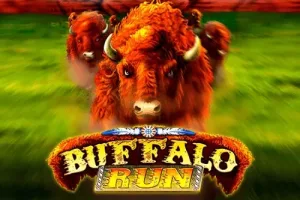Buffalo Run Slot Oyunları Görseli