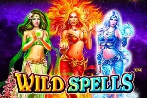 Wild Spells Slot Oyunları Görseli